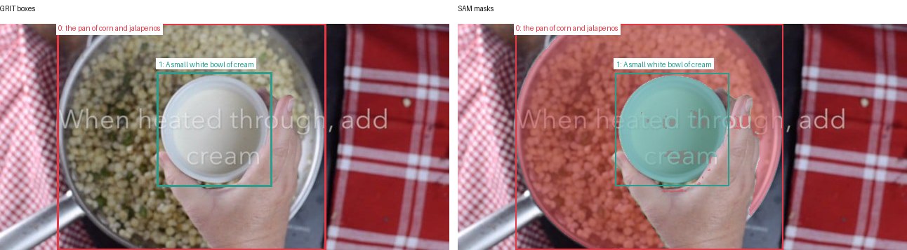 GRIT boxes and SAM masks