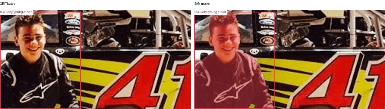 GRIT boxes and SAM masks