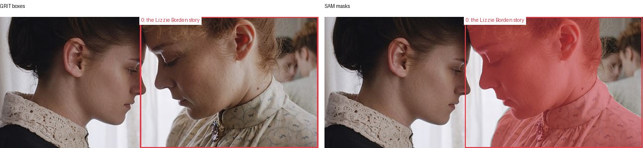 GRIT boxes and SAM masks
