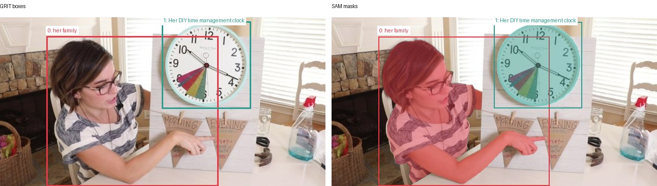GRIT boxes and SAM masks