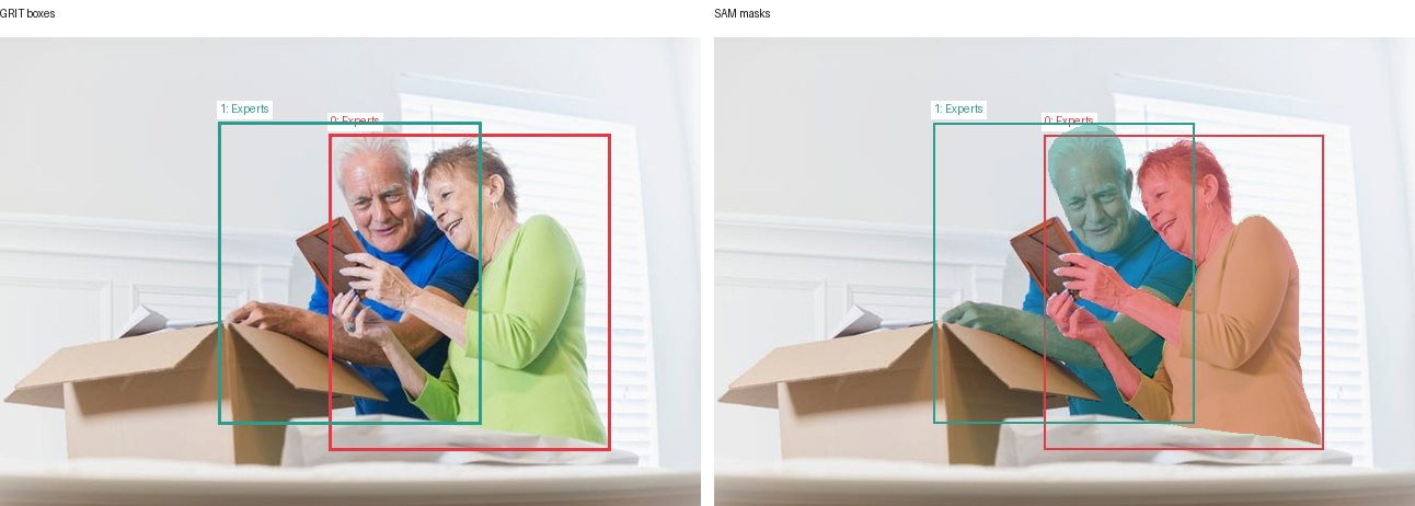 GRIT boxes and SAM masks