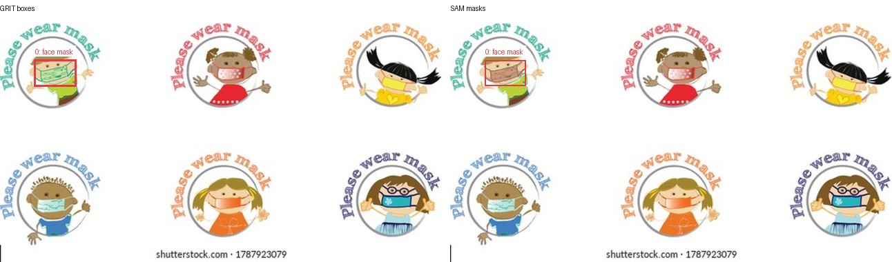 GRIT boxes and SAM masks