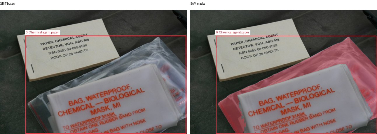 GRIT boxes and SAM masks