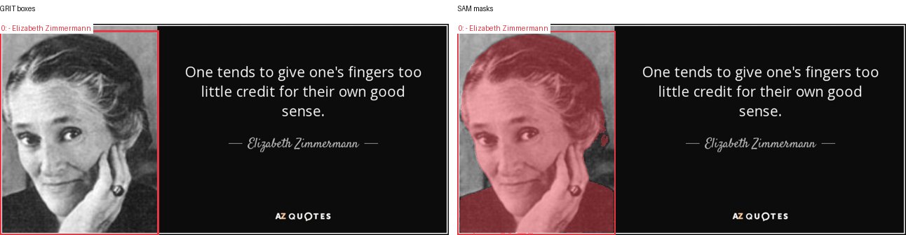 GRIT boxes and SAM masks