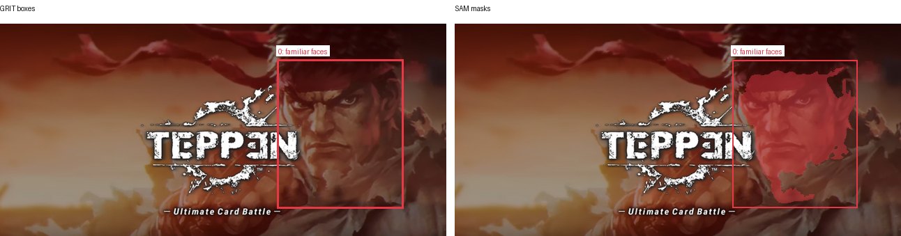 GRIT boxes and SAM masks