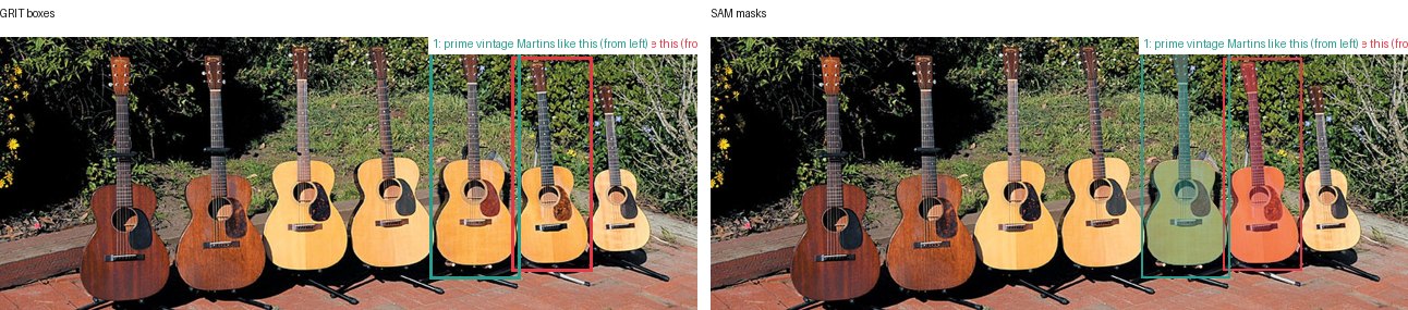 GRIT boxes and SAM masks