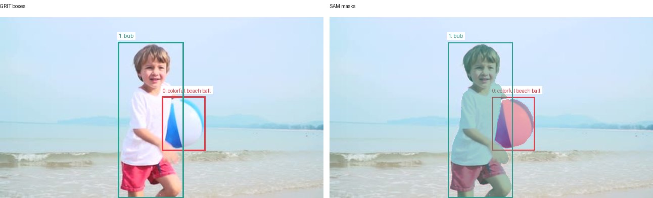 GRIT boxes and SAM masks
