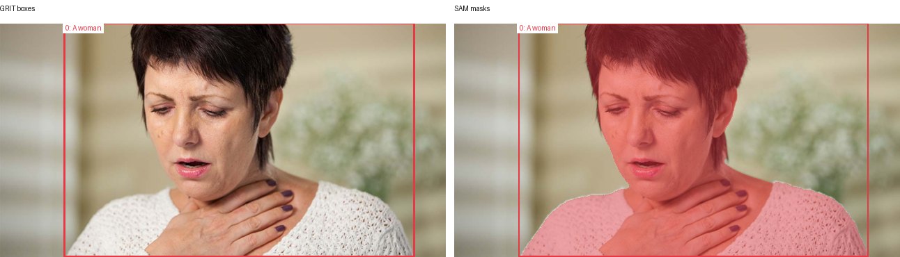 GRIT boxes and SAM masks