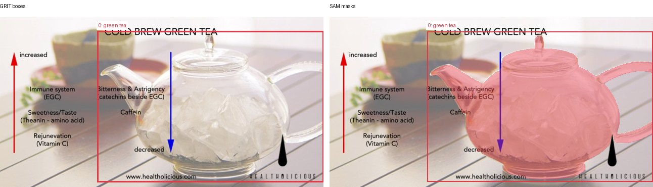 GRIT boxes and SAM masks