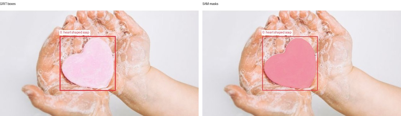 GRIT boxes and SAM masks