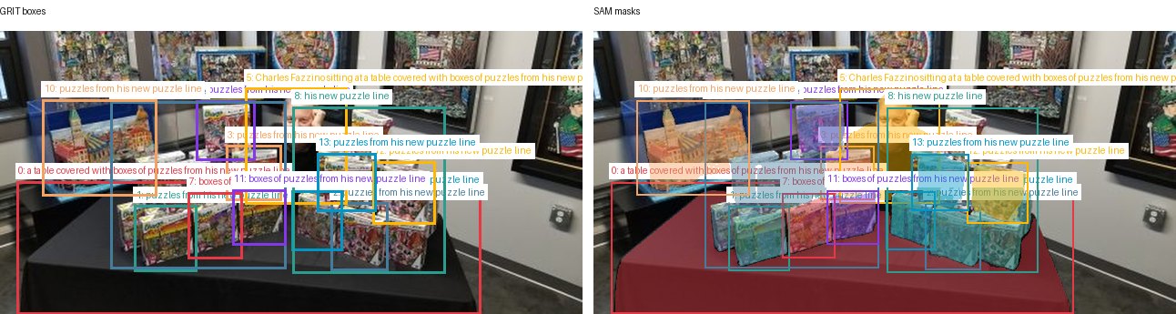 GRIT boxes and SAM masks