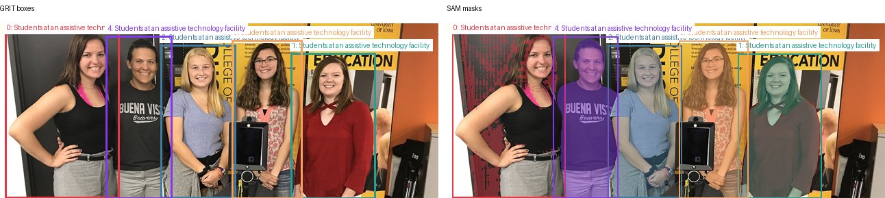 GRIT boxes and SAM masks