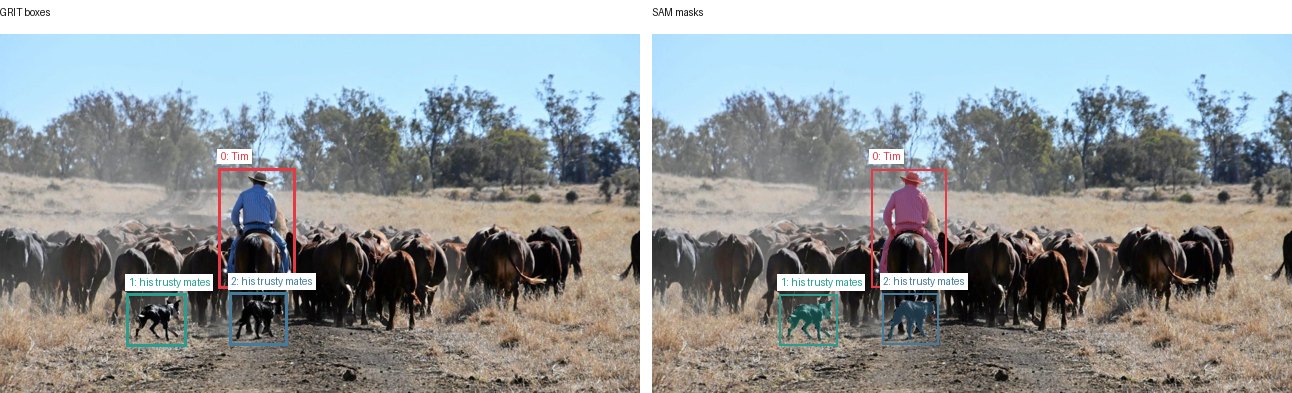 GRIT boxes and SAM masks