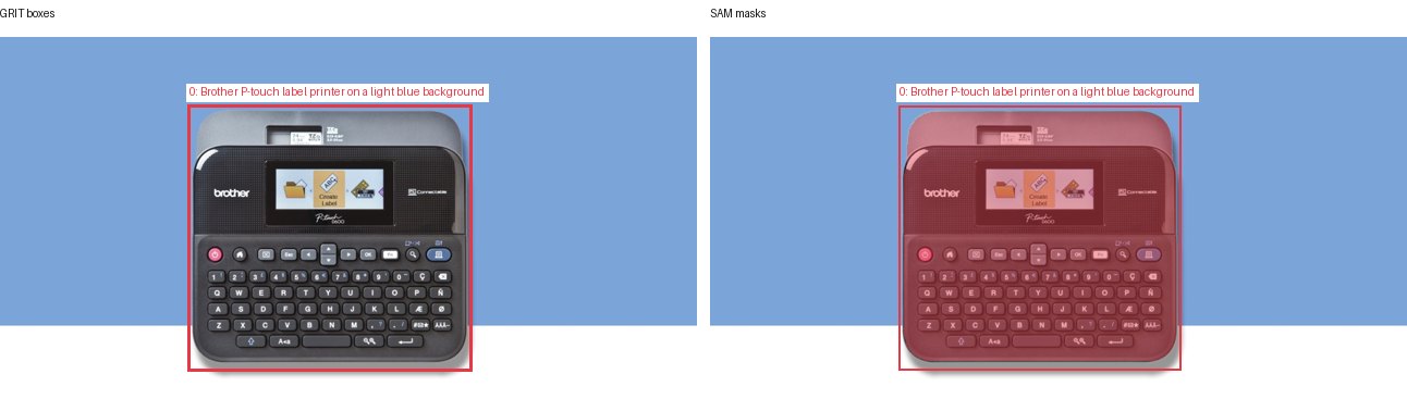 GRIT boxes and SAM masks