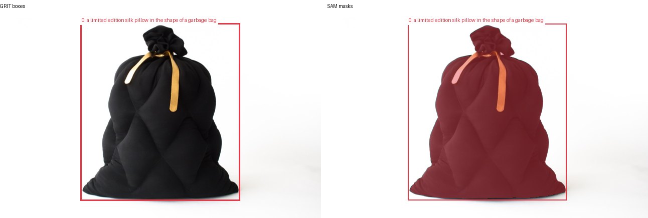 GRIT boxes and SAM masks