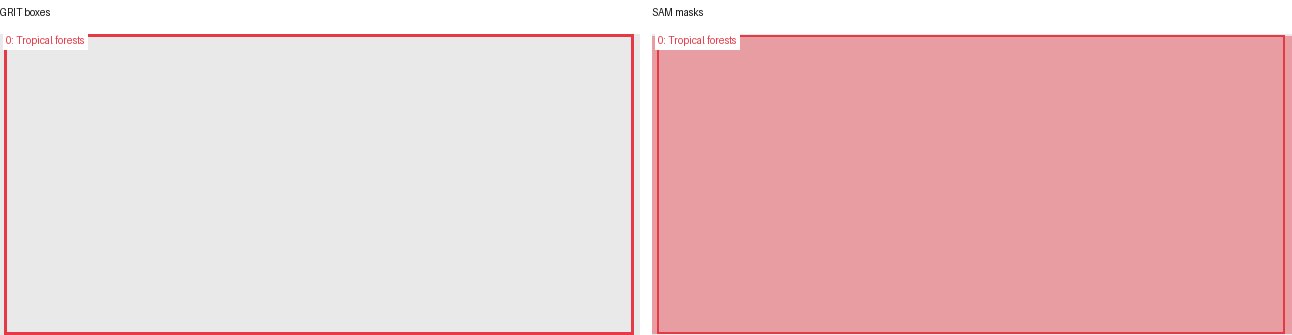 GRIT boxes and SAM masks