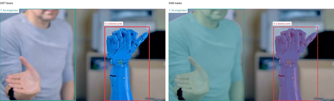 GRIT boxes and SAM masks