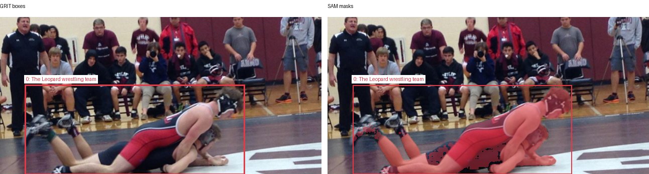 GRIT boxes and SAM masks