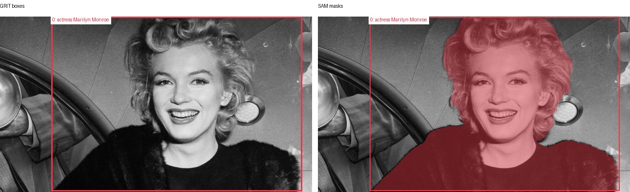 GRIT boxes and SAM masks