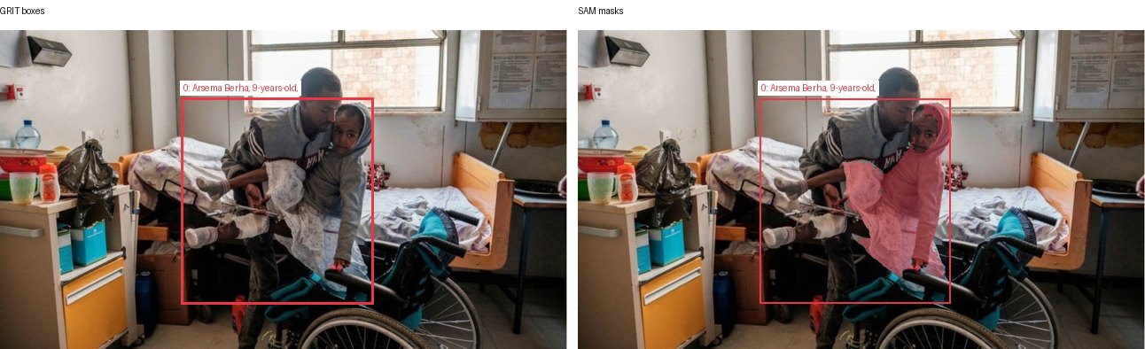 GRIT boxes and SAM masks