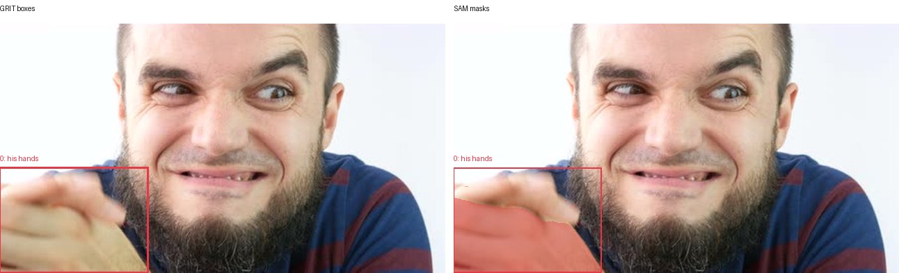 GRIT boxes and SAM masks