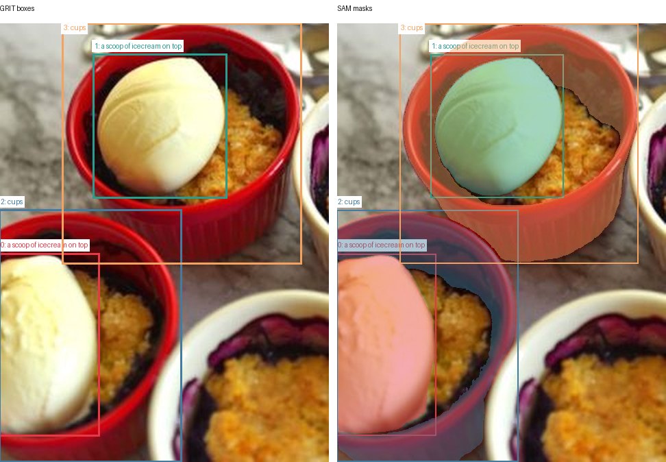 GRIT boxes and SAM masks