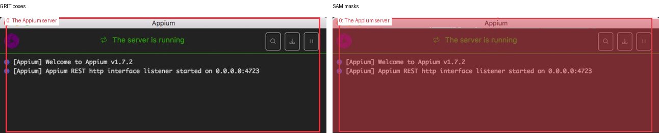 GRIT boxes and SAM masks