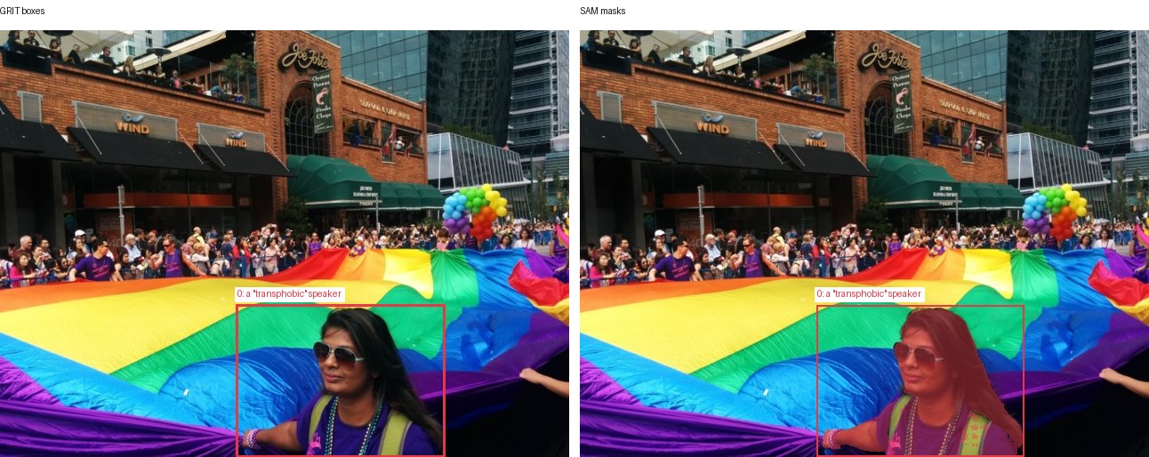 GRIT boxes and SAM masks