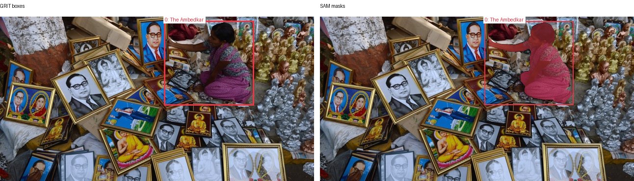 GRIT boxes and SAM masks