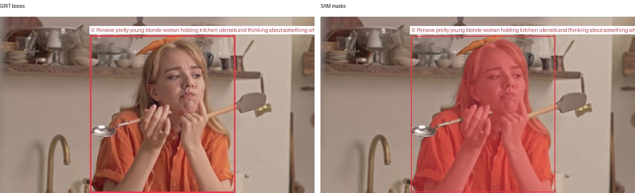 GRIT boxes and SAM masks
