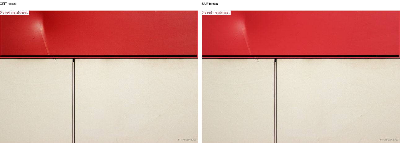 GRIT boxes and SAM masks