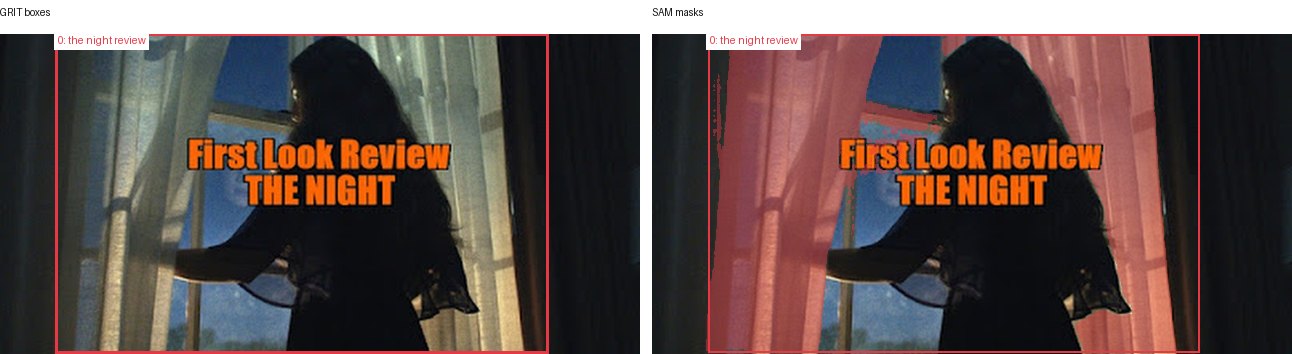 GRIT boxes and SAM masks