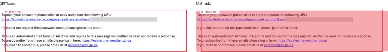 GRIT boxes and SAM masks
