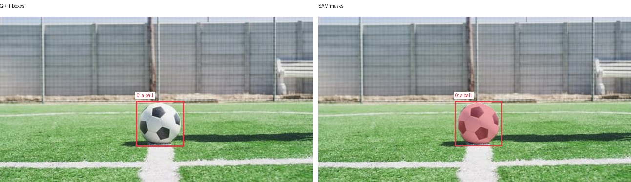 GRIT boxes and SAM masks