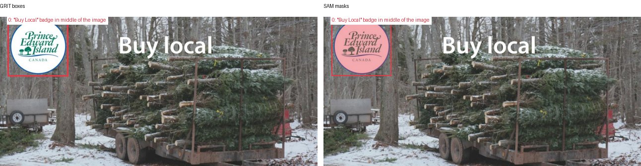 GRIT boxes and SAM masks