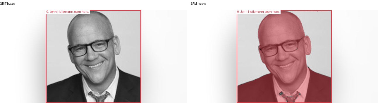 GRIT boxes and SAM masks