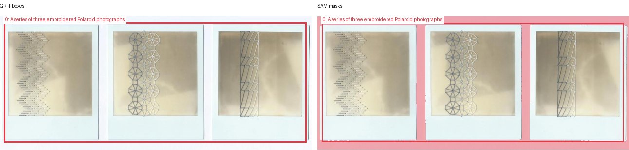 GRIT boxes and SAM masks