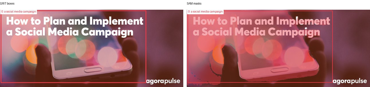 GRIT boxes and SAM masks