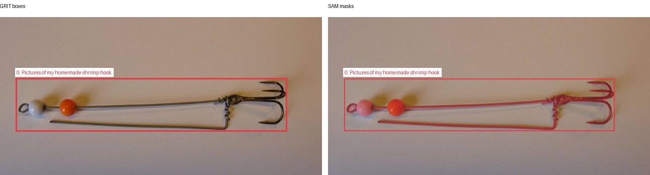 GRIT boxes and SAM masks