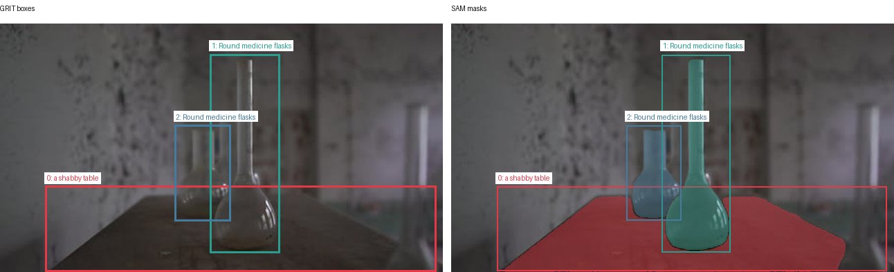 GRIT boxes and SAM masks