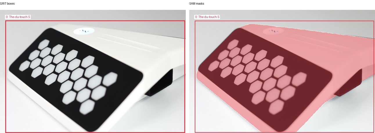 GRIT boxes and SAM masks