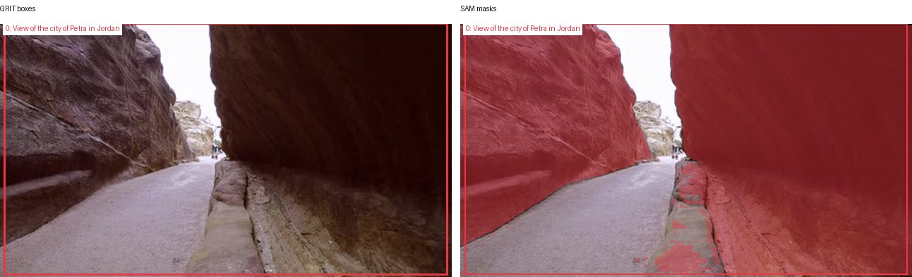 GRIT boxes and SAM masks