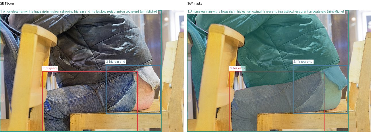 GRIT boxes and SAM masks
