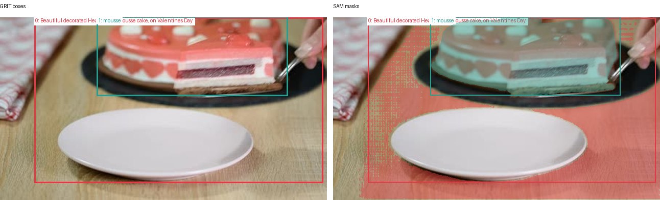 GRIT boxes and SAM masks