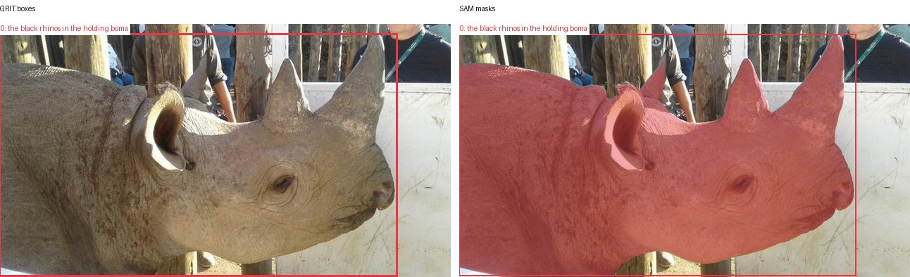 GRIT boxes and SAM masks