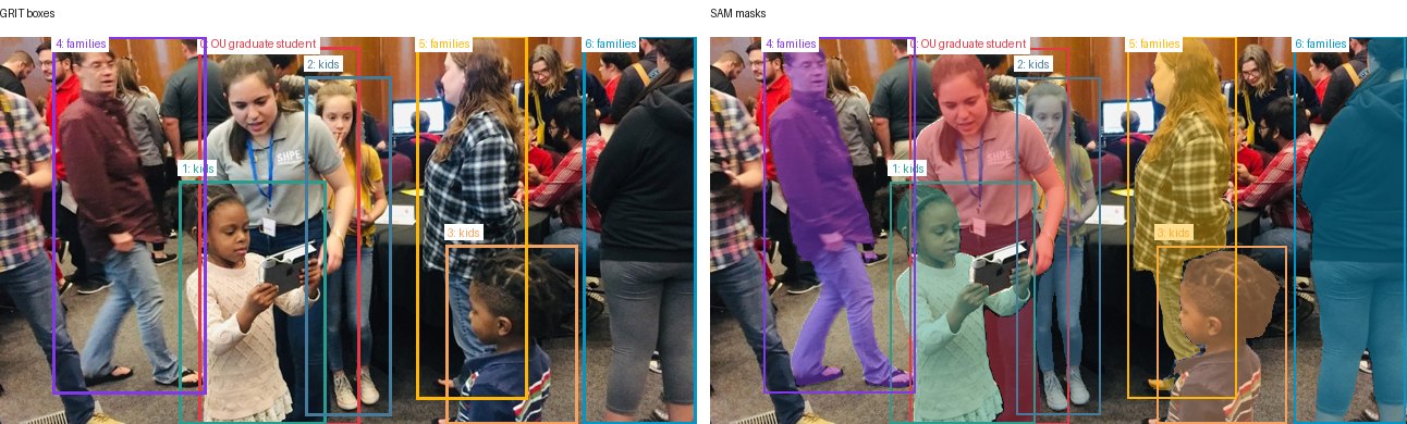 GRIT boxes and SAM masks
