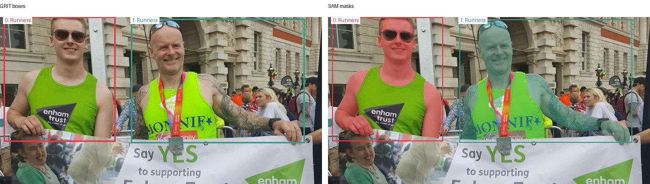 GRIT boxes and SAM masks