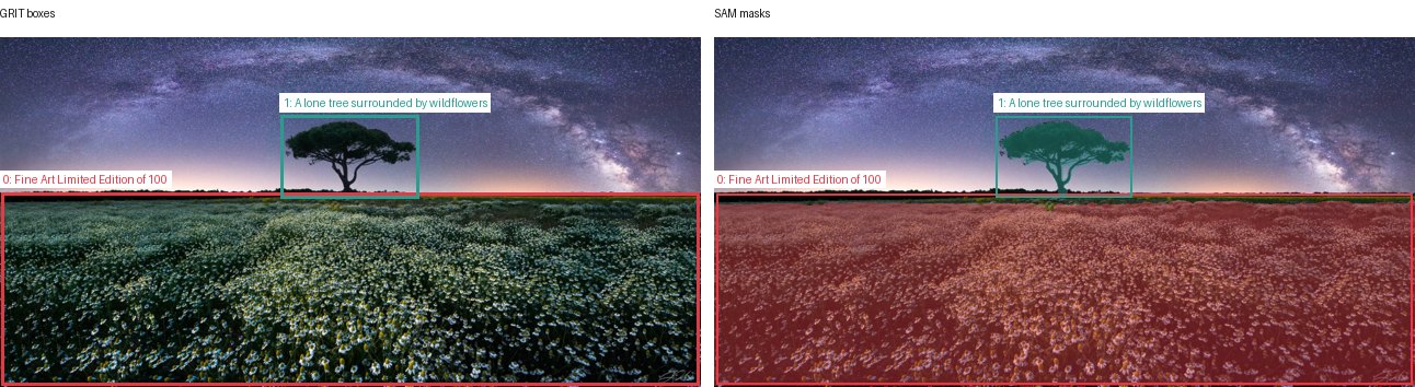 GRIT boxes and SAM masks