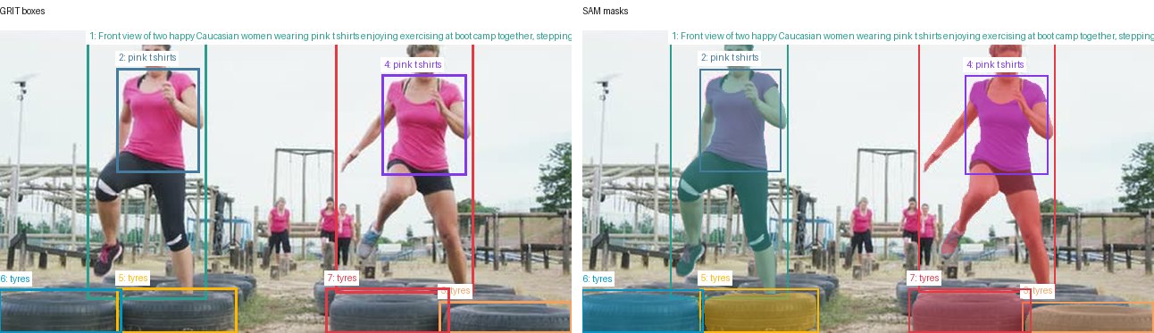 GRIT boxes and SAM masks