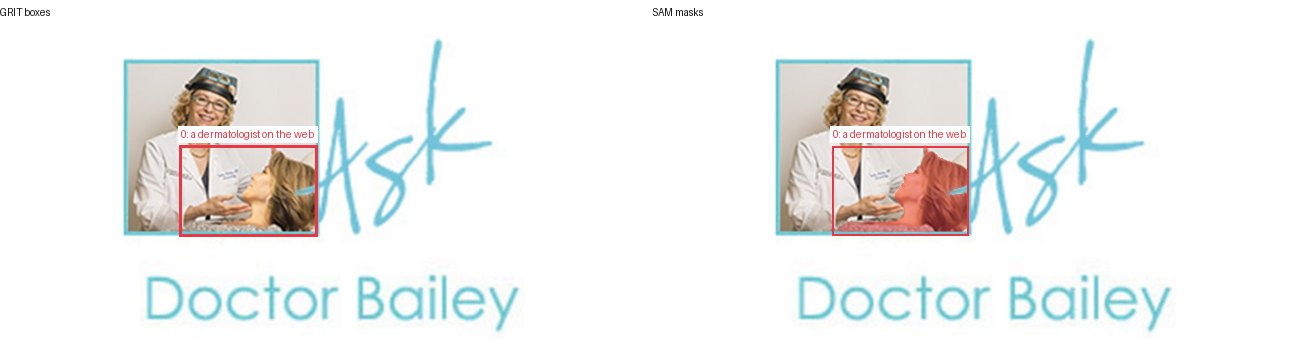 GRIT boxes and SAM masks
